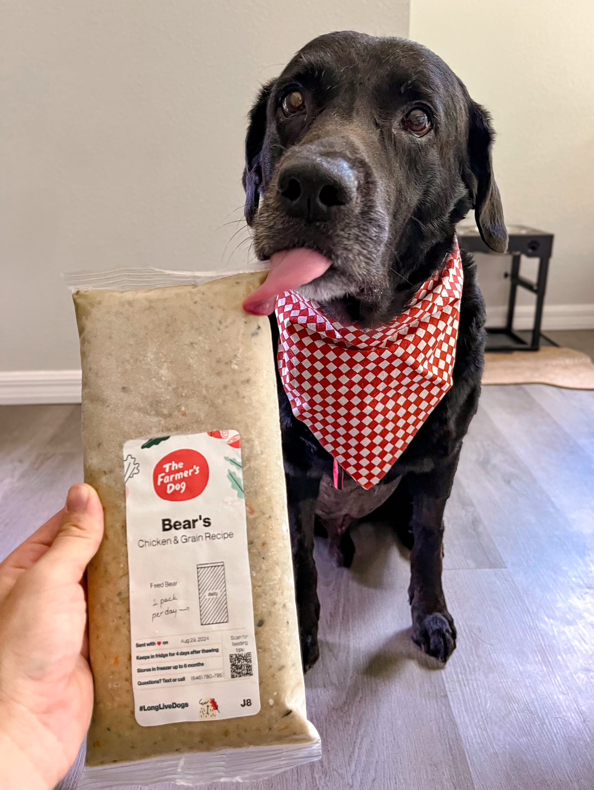 The Farmer's Dog ad creative