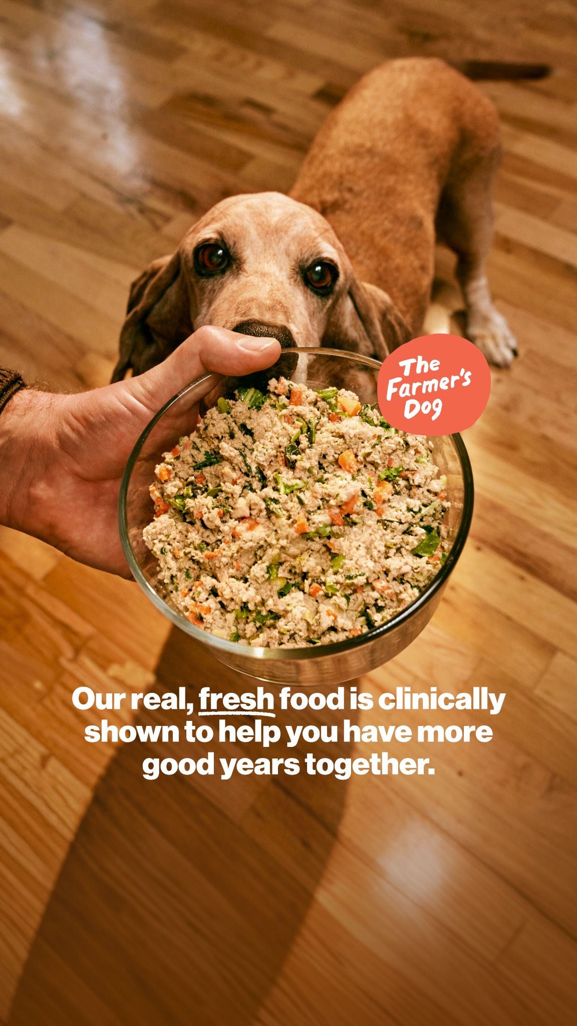 The Farmer's Dog ad creative
