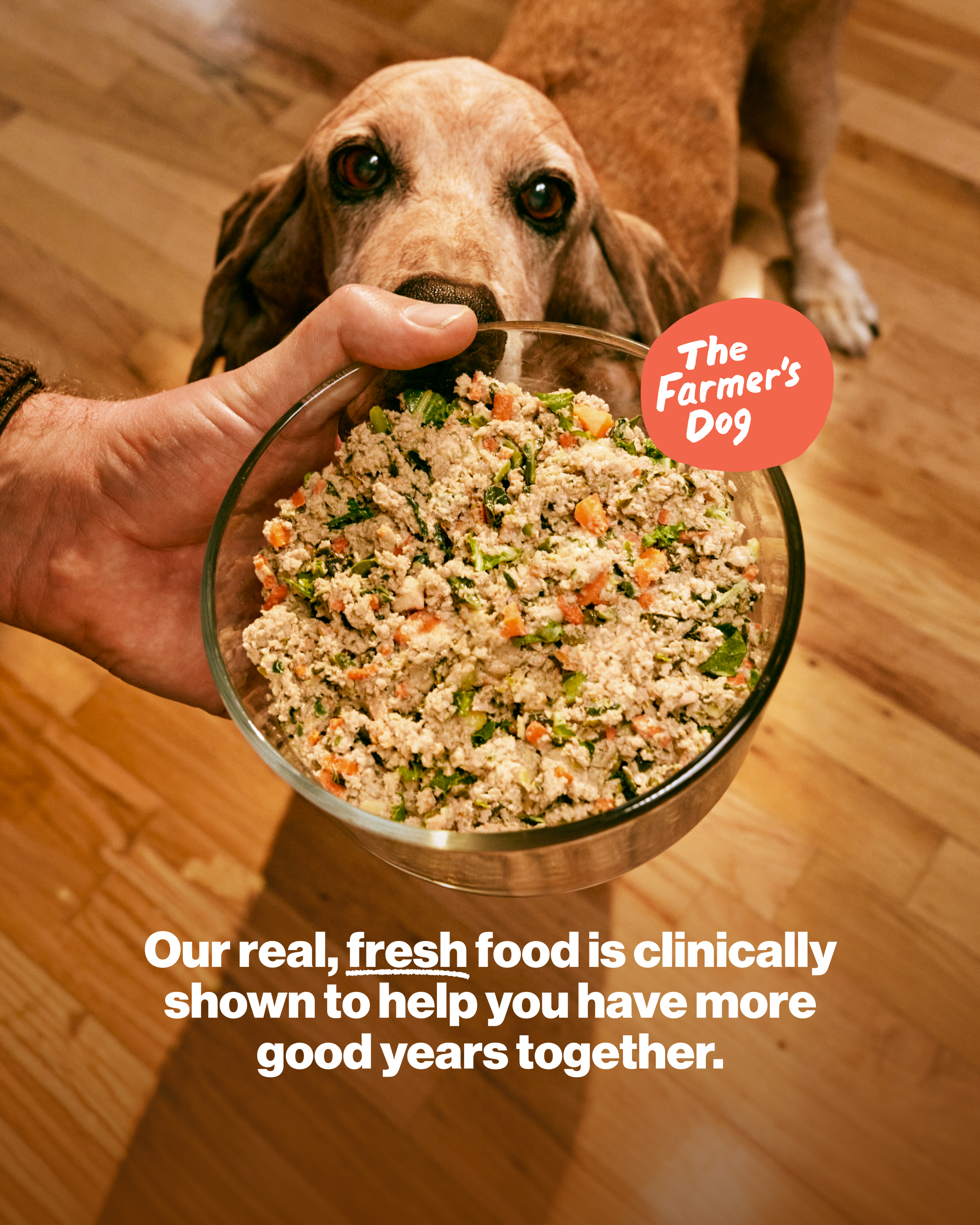 The Farmer's Dog ad creative